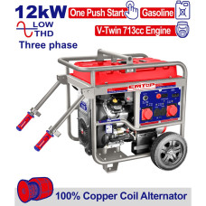 Генератор бензиновий EMTOP EGGRD15031 11,0 кВт