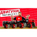 Двигун бензиновий Vitals GE 13.0-25ke